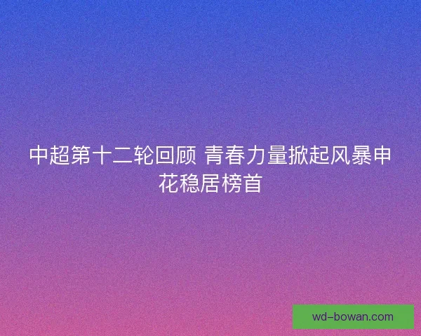 中超第十二轮回顾 青春力量掀起风暴申花稳居榜首 中超第十二轮回顾 青春力量掀起风暴申花稳居榜首