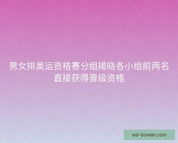 男女排奥运资格赛分组揭晓各小组前两名直接获得晋级资格