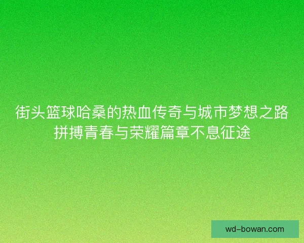 街头篮球哈桑的热血传奇与城市梦想之路拼搏青春与荣耀篇章不息征途